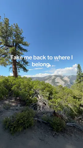 #yosemite #nationalpark #fyp 