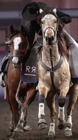 Men (and horseflesh) that work for a living #rodeo 