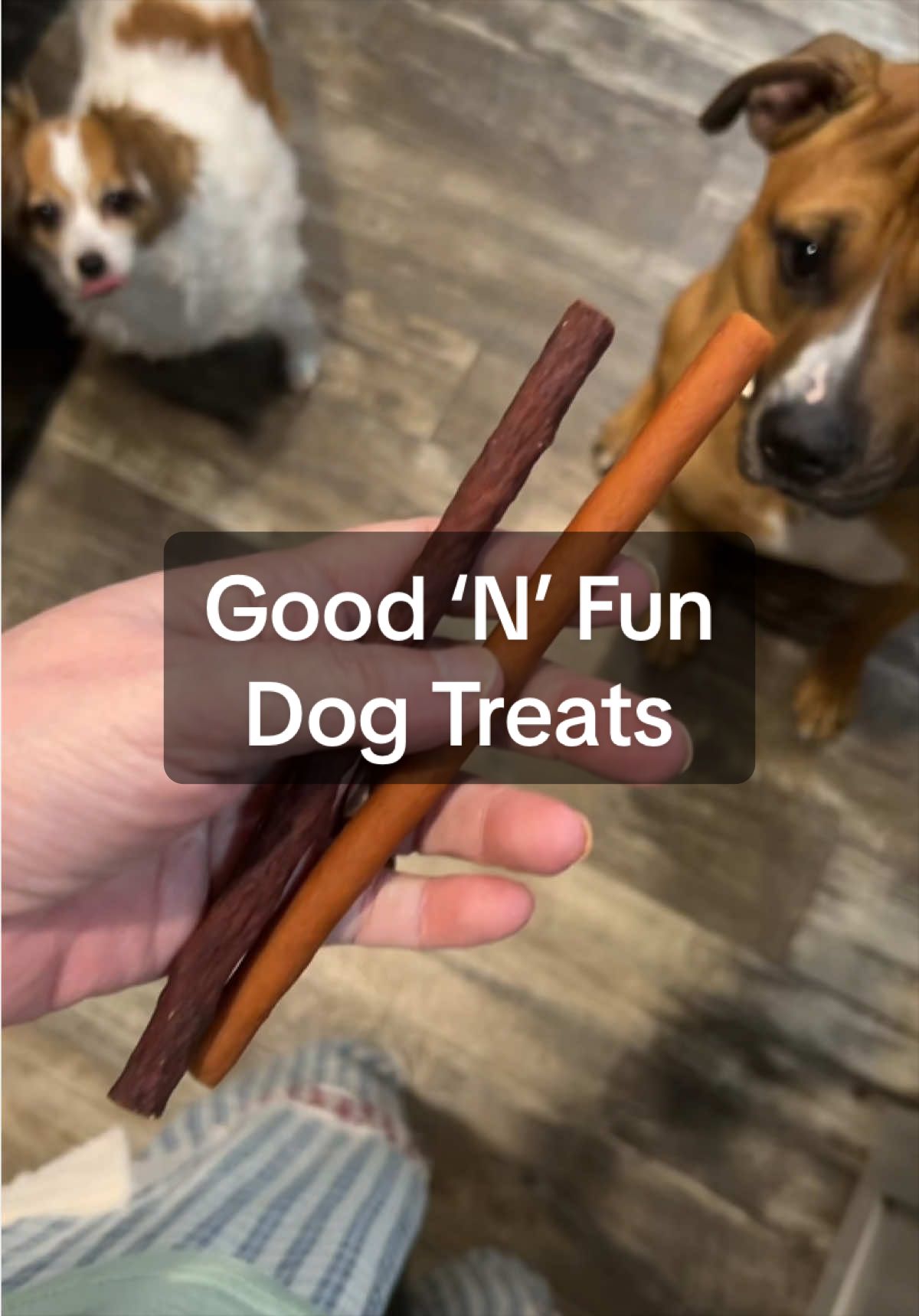 My dogs love these treats and they are good for them! #TikTokCreatorSearchInsightsIncentive #dogtreats #dogsnack #healthydogtreats #healthydogsnacks 