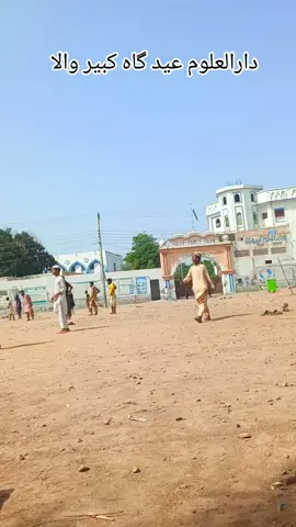 دارالعلوم عید گاہ کبیر والا 