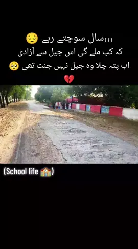 School life 🏫  #foryoupage #creatorsearchinsights #لودھراں_والے 