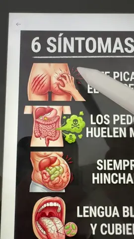 El magnesio es un elemento indispensable para el cuerpo humano.#magnesio #salud #fyp #viyouthmagnesiumcomplex #health 