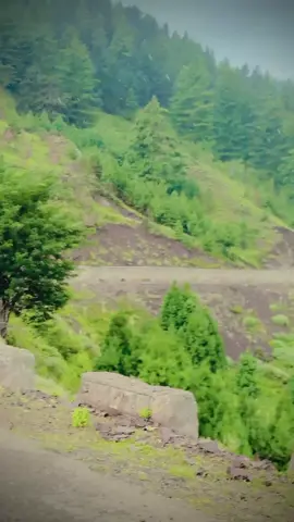 ho Tor M4 ma loss ta ka#pirt #viralvideo #💔💔💔 #unfrezzmyaccount #viral @𝔸sＩ𝐌ᵒσ @🎀WAZIRGAI JANAN🎀 @muskan 90 @🦅🆂 🄺💫ᴍᴀᴄʜɪᴋʜᴀɪʟ🦅@٭𝚉 𝙼٭ 