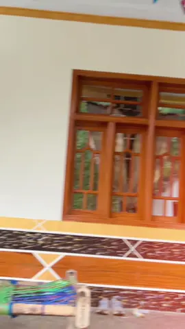 ##viralvideo @alihdair25 @@Salman40840 @Siraj danish @Ibne salah 