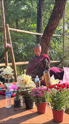 Thầy Minh Tuệ từ bi yêu thương hạnh phúc #thayminhtue #thayminhtuemoinhat #conduonggiacngo #phatphapnhiemmau #thongdiepchualanh 