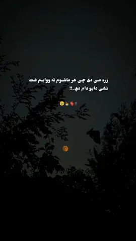 #creatorsearchinsights #aestheticwallpaperideasforphonesزره می دی چی هر ماشوم ته ووایم🥹🙇‍♂️🫀 .. .. .. #viralvideo #foryoupage  #unfreezemyacount 