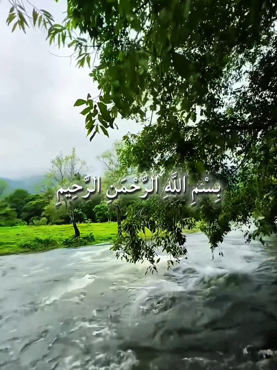 #quran_alkarim #قران_كريم  #الله_اکبر  #قران_كريم_ارح_سمعك_وقلبك  #islamic_video 