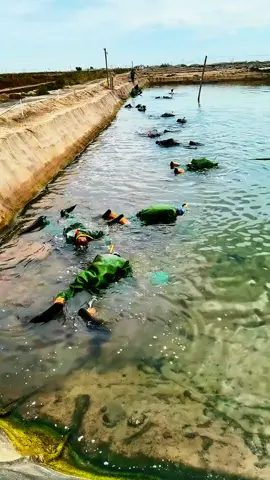 #fishing #ecosystemaquarium #restoration #FishingDaily #RiverLife 