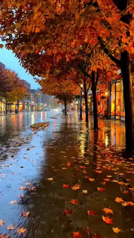 A Peaceful Autumn Walk 🍂🌧️ | Rainy City POV#lAutumnWalk #POV #FallVibes #CityAmbience #TranquilTides12