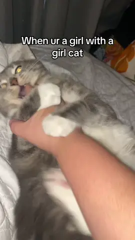#fyp #catsoftiktok #relateable #foryou #viral 