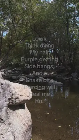 My dream fr #purplehair #snakebites #like? #goviral #fyp 