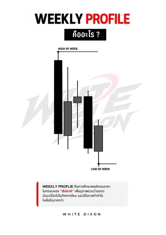 WEEKLY PROFILE:01