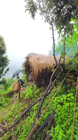 #village #nepalitiktok #nice 