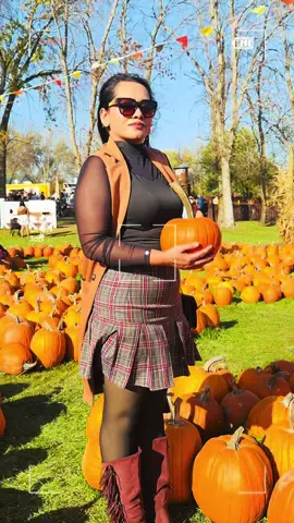 Fall season 🍁🍁🍁#foryoupage #pumkinpatch #goviral #tiktok #tiktokgrowth 