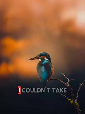 best app for photography