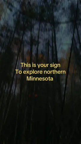 Love northern Minnesota #minnesota #explore #goviral 