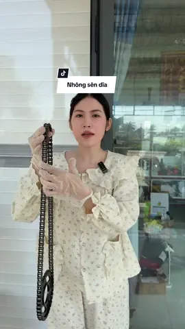 #nhongsendia 