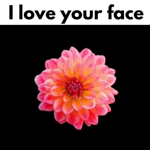 I love every single thing about you. #fyp #couple #couples #Love #iloveyou 