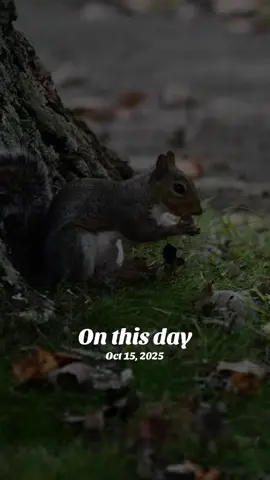 #onthisday 