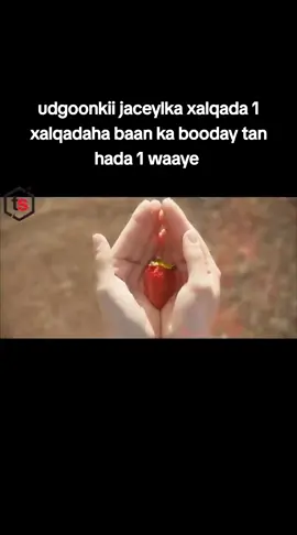 #musalsalka udgoonkii jaceylka #foryoupageofficiall #fypシ゚viral❤tiktok☆♡🦋シ゚シ🤍🤍🤍🤍🤍💫 