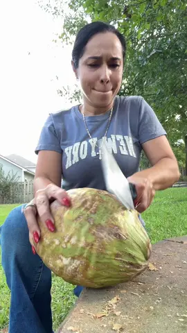 #fyp 