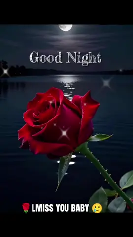 Good night my love #❤️❤️ #foryoupage❤️❤️ 