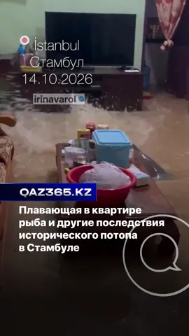 В социальных сетях распространяются видео последствий мощных ливней в Стамбуле. Улицы турецкого мегаполиса оказались затоплены, вода проникла в жилые дома и магазины, а привычные городские пейзажи превратились в кадры, напоминающие фильмы-катастрофы. На одном из роликов можно увидеть рыбу, плавающую прямо в затопленной квартире. Другие кадры демонстрируют масштаб подтоплений и последствия непогоды для жителей города.