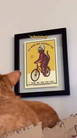 I do think he looks very cool 😎🐱 #catmom #cattok #catlife #cathumor #cathumor 