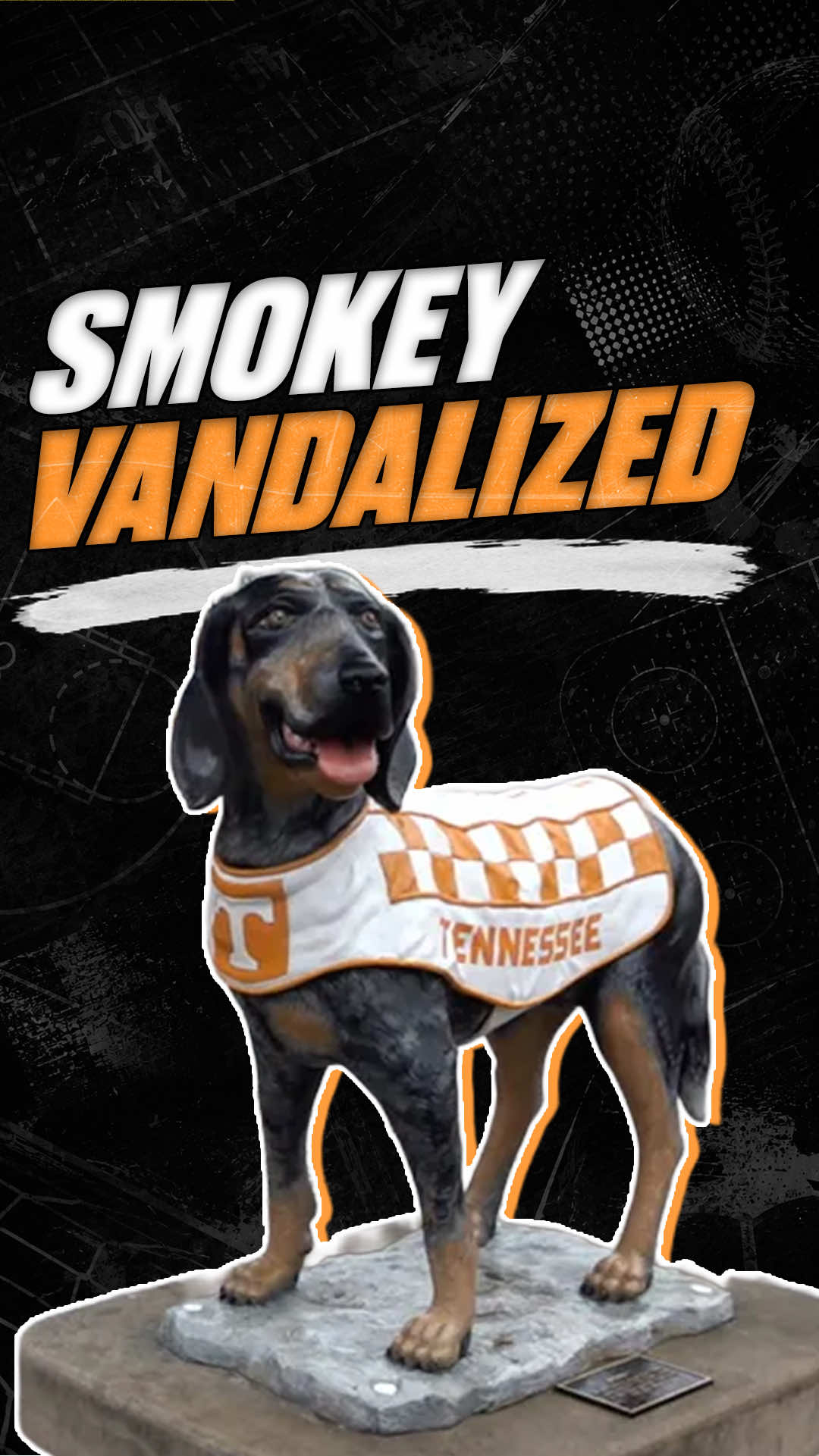 A 19 year old James Madison University student from New Jersey might have just broken a record for the dumbest felony of all time…  By vandalizing the University of Tennessee’s coveted Smokey Statue outside of Neyland Stadium 🤦🏻‍♂️🤦🏻‍♂️ #TikTokCampaign #football #americanfootball 