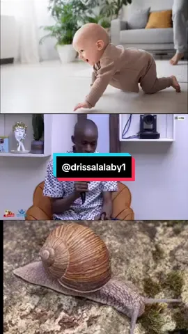 @drissalalaby1🇲🇱 