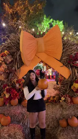 #pumpkin #pumpkinseason 