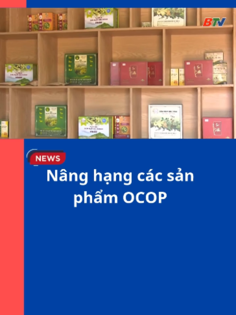 Nâng hạng các sản phẩm OCOP #tintuc #truyenhinhbacninh #btv #bacninhtv #tintucbacninh