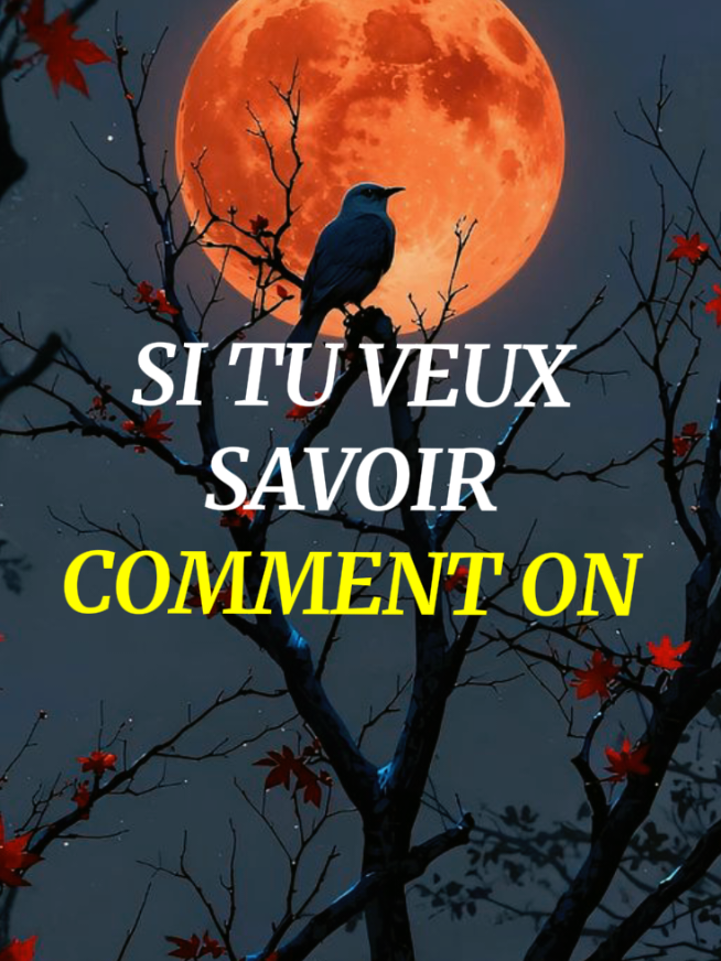#motivacion #citation #conseil #fyp 