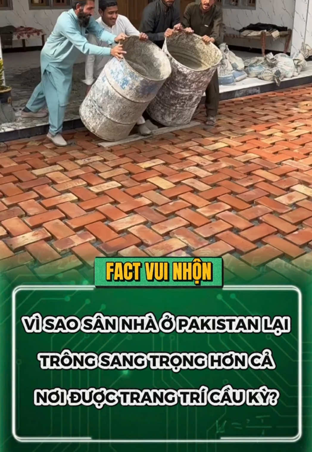 Sân thôi mà chỉn chu ghê #factvuinhon #khamphathegioi #meohaymoingay #giaima 