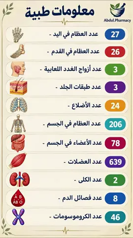 🧬 حقائق مذهلة عن جسم الإنسان: بين الدقة العلمية والتشريح! هل تساءلت يوماً عما إذا كانت المعلومات الطبية المتداولة على وسائل التواصل الاجتماعي دقيقة حقاً؟ دعنا نأخذك في جولة تفصيلية دقيقة عبر أسرار جسم الإنسان ومكوناته التشريحية المذهلة: 🦴 أولاً: الجهاز الهيكلي والعضلي  ✋ عظام اليد: تحتوي يد الإنسان على 27 عظماً تمنحها مرونة فائقة وقدرة مذهلة على الدقة والحركة.  🦶 عظام القدم: تضم قدم الإنسان 26 عظماً مصممة بدقة هندسية لتحمل وزن الجسم وضمان الاتزان.  🦴 الأضلاع: يمتلك الإنسان 24 ضلعاً (أي 12 زوجاً) تعمل كدرع حصين لحماية الأعضاء الحيوية في الصدر كالقلب والرئتين.  💀 إجمالي العظام: يتكون هيكل الإنسان البالغ من 206 عظام صلبة ومتكاملة (مع ملاحظة أن الأطفال يولدون بأكثر من ذلك وتندمج عظامهم لاحقاً).  💪 العضلات: يضم جسم الإنسان حوالي 639 عضلة مسؤولة عن الحركة، التنفس، وضخ الدم. 🫀 ثانياً: الأجهزة الحيوية وأنسجة الجسم  💧 الغدد اللعابية: يمتلك الجسم 3 أزواج رئيسية من الغدد اللعابية المسؤولة عن إفراز اللعاب وبدء عملية الهضم.  🧱 طبقات الجلد: يتألف جلد الإنسان من 3 طبقات أساسية وهي: البشرة، الأدمة، والطبقة تحت الجلدية.  🫘 الكلى: يحتوي جسم الإنسان الطبيعي على كليتين أساسيتين لتصفية الدم وتنقية السوائل.  🫀 عدد الأعضاء: يُقدر عدد الأعضاء في جسم الإنسان بنحو 78 عضواً وفقاً للعديد من المراجع والتقارير التعليمية المعاصرة. 🩸 ثالثاً: الدم وعلم الوراثة  🅰️🅱️ فصائل الدم: تنقسم فصائل الدم الرئيسية إلى 8 فصائل أساسية عند احتساب نظام ABO مع عامل ريسوس   🧬 الكروموسومات: تحوي الخلايا الجسدية الطبيعية للإنسان 46 كروموسوماً (مقسمة إلى 23 زوجاً) تحمل كامل الشفرة والصفات الوراثية. #معلومات_طبية #جسم_الإنسان #ثقافة_صحية #علم_التشريح #favramadanfood