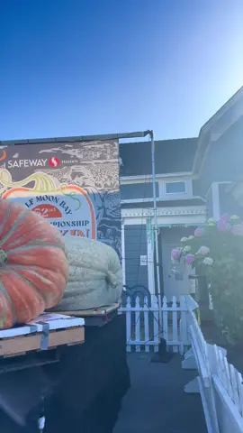 Last year’s Half Moon Bay Pumpkin Festival Weekend!!🧡 🎃 Excited for this  year’s Spooky Season!👻 #halloween #pumpkinseason #pumpkin #spookyseason 