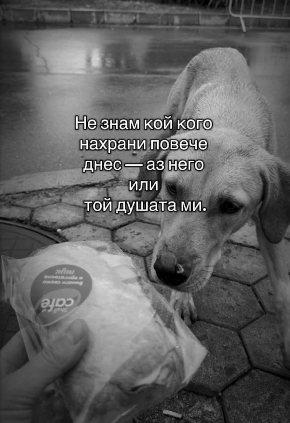 Определено той нахрани мен ! #fyp 