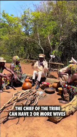 🇺🇸: The chief of the tribe can have two or more wives but under one condition. 🇦🇴:Há uma condição para que o soba tenha duas ou mais mulheres. #cuyuyu #boleiadocuyuyu🚕❤️ #turismo #cultura #fyp 