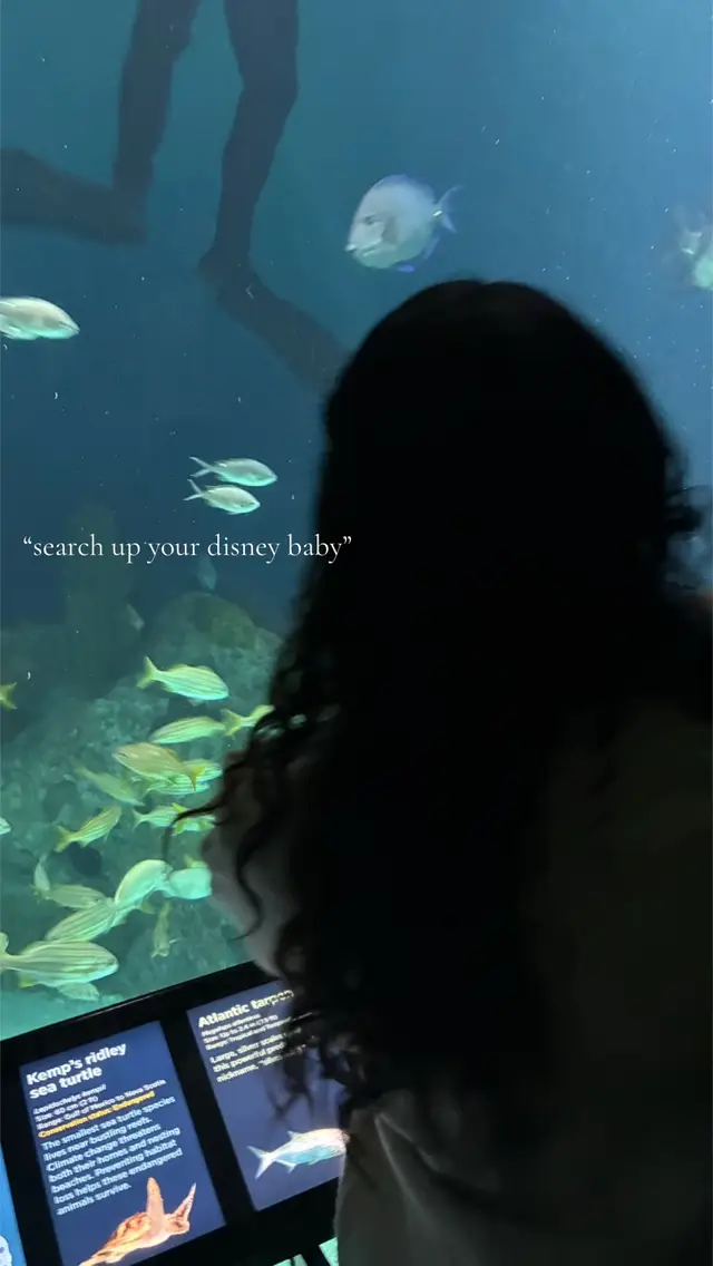 i love moana so freaking much #fyp #moana #cutie 