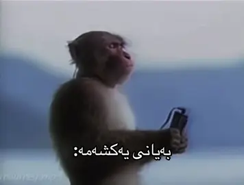 #foryou #foryoupage #fyp #fffffffffffyyyyyyyyyyypppppppppppp #الشعب_الصيني_ماله_حل😂😂 