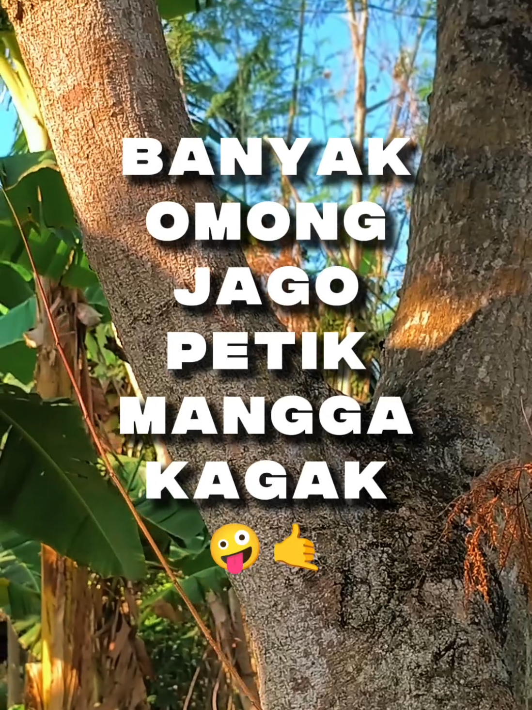 #CapCut ingpo malam minggu petik mangga 🤣🤣🤣 #pioneertemplate #capcutpioneer #teamtacapcut 