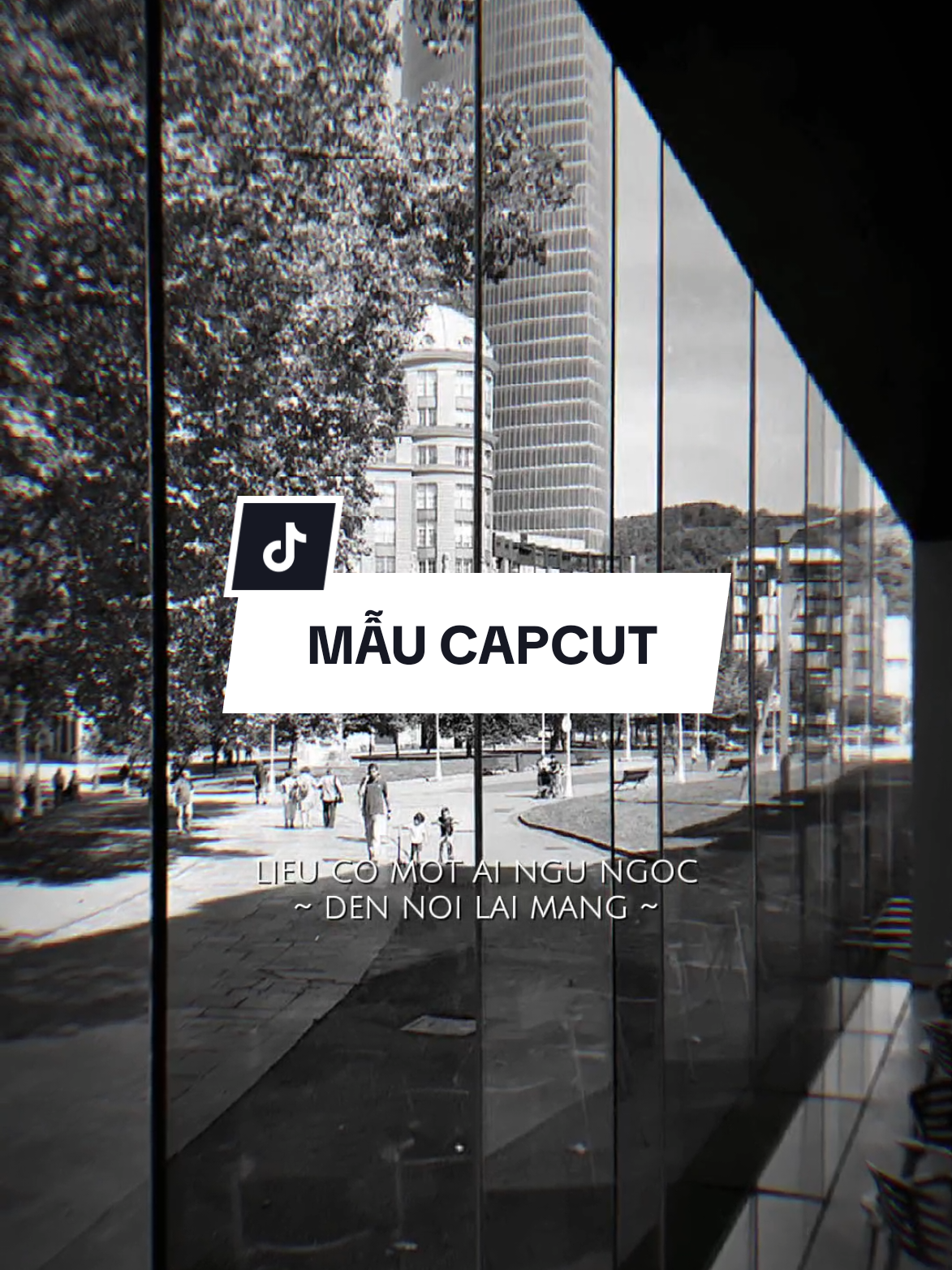 Liệu có một ai ngu ngốc đến nỗi lại mang về thêm sai lầm.... #capcut #capcutpioneer #pioneertemplate #nhachaymoingay #fyp 