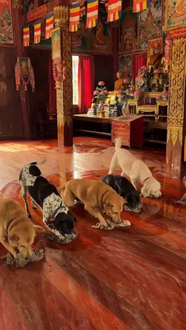 หลวงพ่อ23