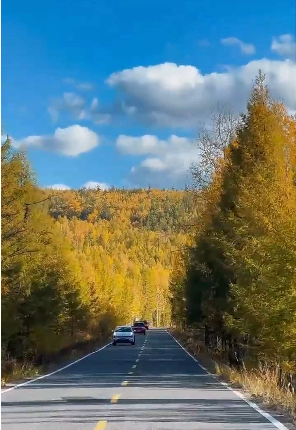 Keep this peaceful scenery for yourself, to save it for those tiring days.#scenery #naturally #beautiful #Clouds 