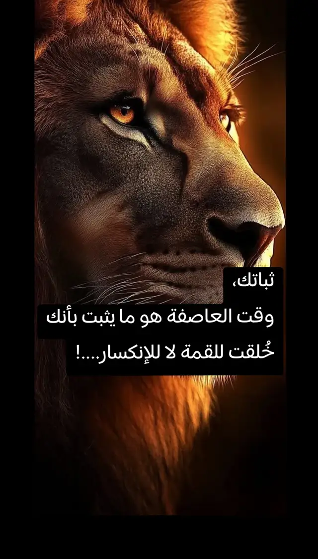 المنشور 4|ثباتك وقت العاصفه هو ما يثبت بانك خلقت للقمه لا للإنكسار... #عباراتكم_الفخمه📿 #اكسبلورexplore #السبت  #اكسبلور؟ 