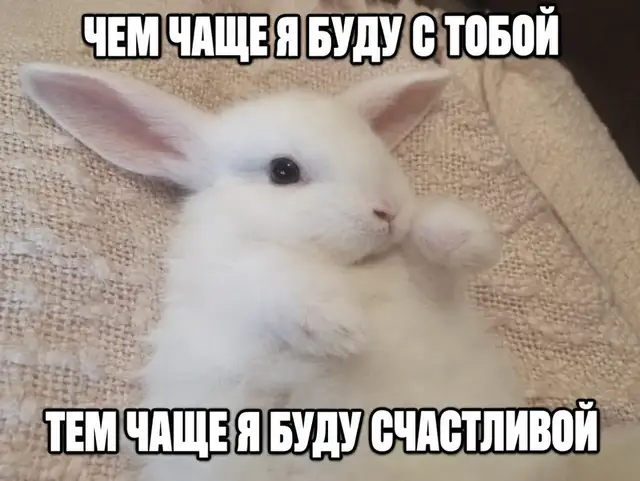 любовь -это когда тебе хочется рассказывать ему обо всём: о том, как прошёл день, что тебя рассмешило, что расстроило и о чём ты думаешь перед сном. когда хочется делиться музыкой, отправлять глупые видео, разговаривать ни о чём и одновременно обсуждать то, что ты не можешь рассказать другим. любовь — это когда тебе важен не только сам человек, но и то, что он чувствует. когда хочется, чтобы ему было хорошо, чтобы он улыбался, чтобы рядом с ним можно было быть настоящим, не притворяться кем-то другим и не бояться показаться странным. это когда ты замечаешь его отсутствие даже в мелочах. когда хочется написать ему что-то, а потом вспоминаешь, что сейчас вы не разговариваете. когда какая-то песня возвращает тебя к определённому моменту, и на несколько секунд ты будто снова оказываешься там, где вам было хорошо. но любовь — это не только скучать, ревновать и постоянно думать о человеке. это ещё и уважение, доверие, забота, умение слышать друг друга и не пытаться переделать другого под себя. это когда рядом с человеком не нужно постоянно заслуживать внимание или доказывать, что ты достоин любви.#милыевидео #репост#fyppppppppppppppppppppppp#лю 