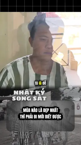 Mùa xuân #nhatkysongsat #tiktok #tiktokviral #phapluat 