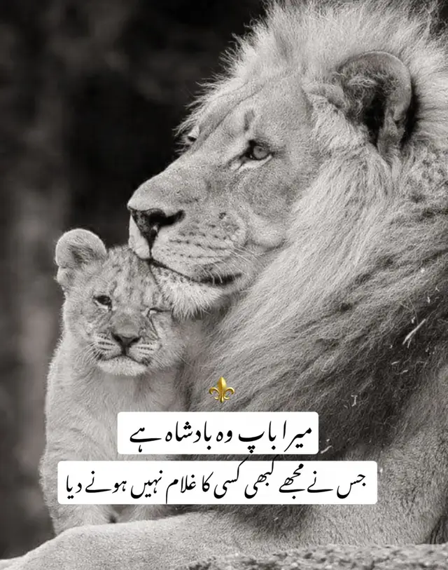 دنیا میں بہت سے رشتے مل جاتے ہیں، مگر باپ جیسا محافظ اور حوصلہ دینے والا کوئی نہیں ہوتا۔ 🖤 وہ خود مشکلات برداشت کرتا ہے تاکہ اُس کی اولاد کسی کے سامنے مجبور نہ ہو۔ باپ صرف گھر کا سربراہ نہیں، وہ طاقت ہے جو اولاد کو اپنے قدموں پر کھڑا ہونا اور عزت کے ساتھ جینا سکھاتی ہے۔ 👑 اُس کی محنت، قربانیاں اور تربیت ہی ہماری اصل دولت ہیں؛ اسی لیے کسی کے سامنے جھکنے سے پہلے ہمیں اپنے باپ کی دی ہوئی خودداری یاد آتی ہے۔ 🤍 فخر ہے مجھے اپنے باپ پر، جس نے سر اٹھا کر جینا سکھایا، کسی کا محتاج بننا نہیں۔ ❤️‍🩹 #FatherLove #ProudSon #UrduQuotes #SelfRespect #AttitudeQuotes