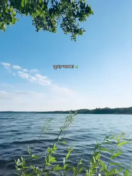 সুখের অপেক্ষায় আজও দিন কেটে যায় জানি না জীবনে সুদিন আসবে কি না, তবুও ছোট্ট একটা আশায় বেঁচে আছি— একদিন হয়তো আমার জীবনেও সুখ আসবে। 🌿🏞️🌊#foryou #fypシ゚viral #bangladesh🇧🇩 #travel 