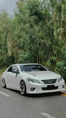 Panda 🐼